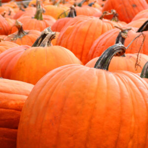 Pumpkins.