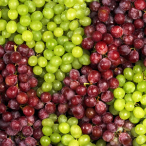 Bunchses of red and green grapes