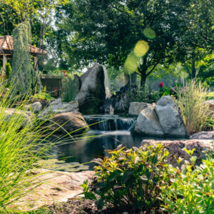 Ornamental plants.