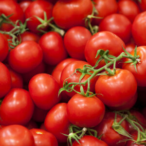 Pile of Tomatoes bunch.